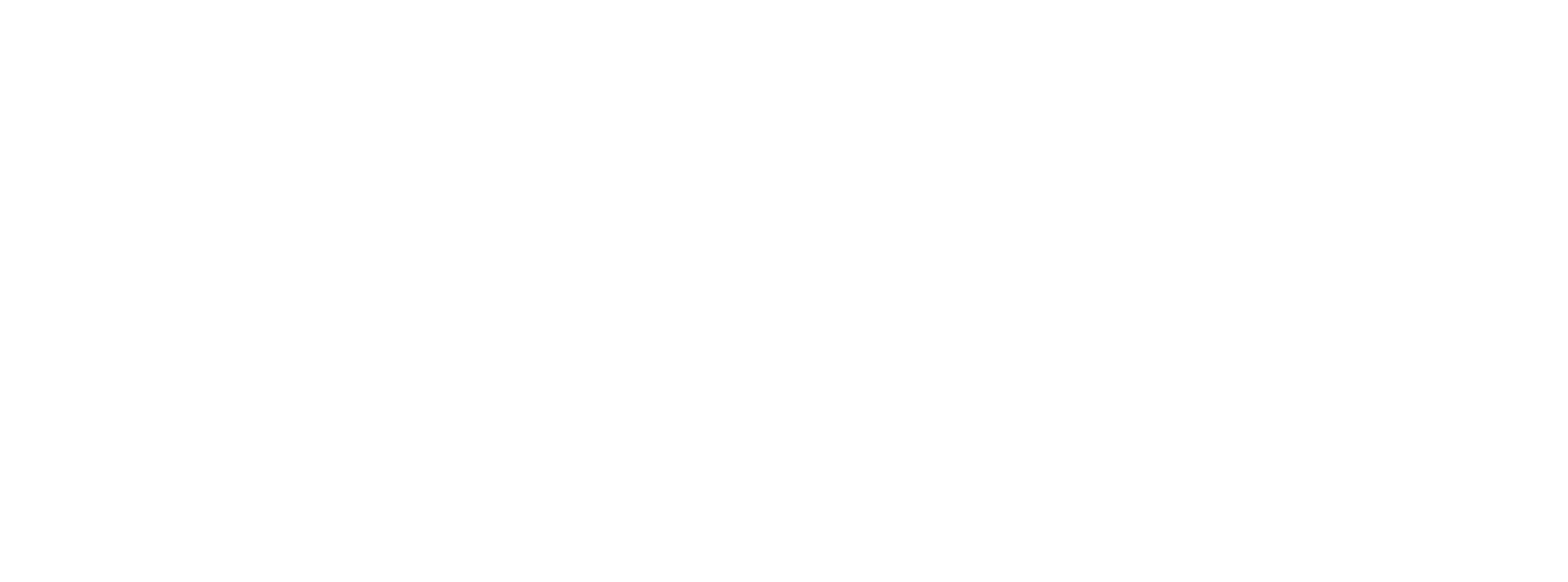 Hvit NND logo