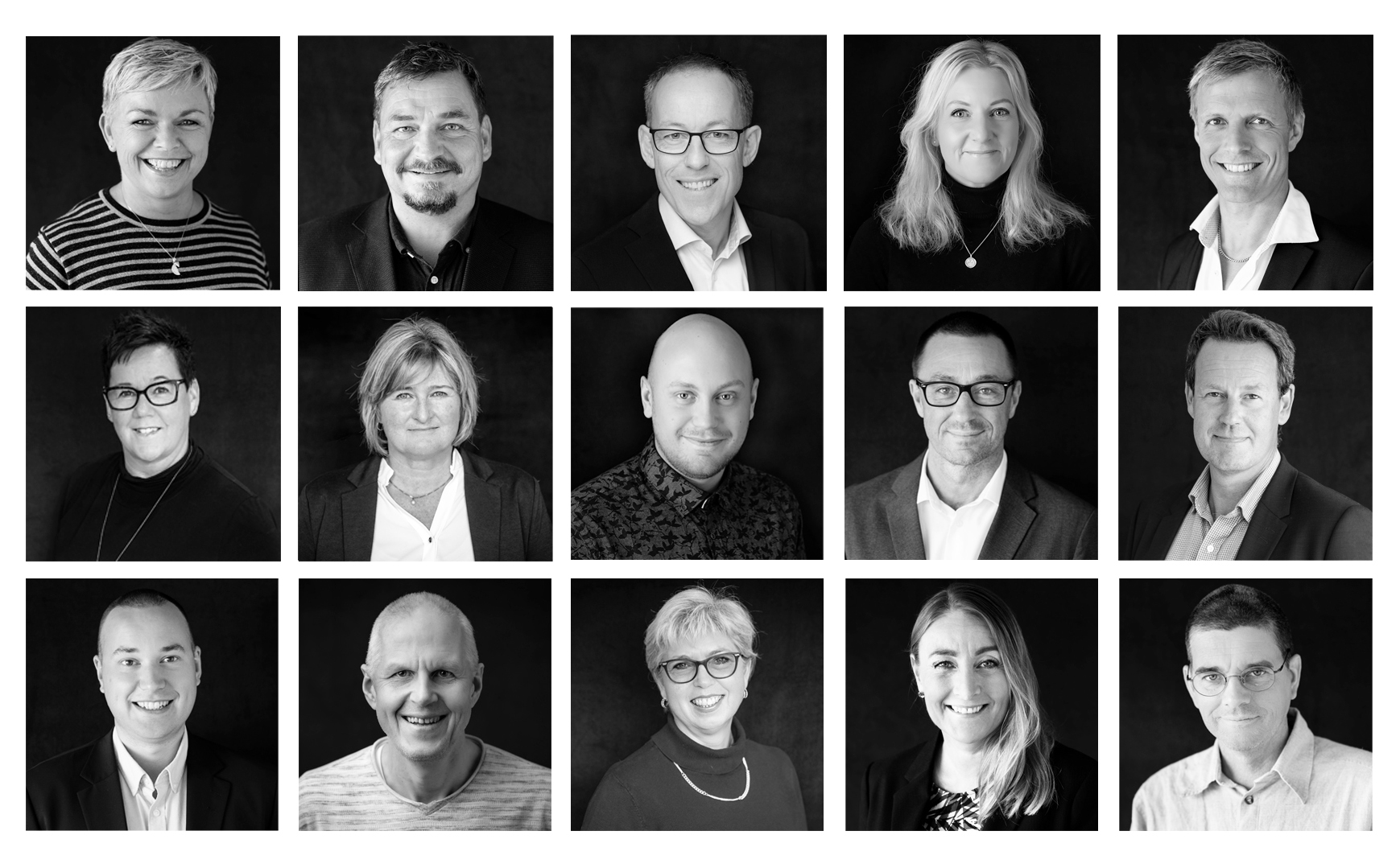 15 profilbilder av ansatte i NND, samlet i en gråtonet mosaikk.